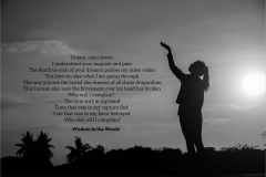Dream-calm-down-2