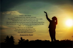 Dream-calm-down