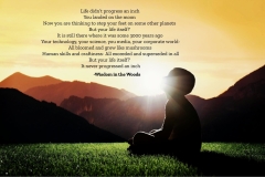 Life-didnt-progress-an-inch-2