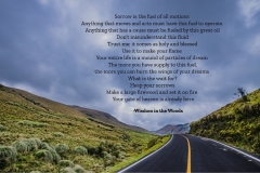 Sorrow-is-the-fuel-of-all-motions