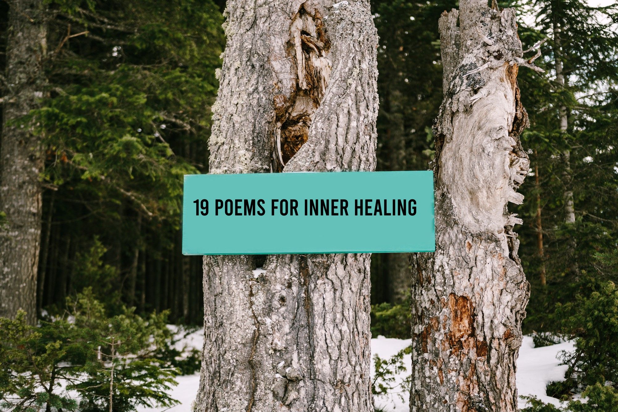 19 Poems for inner healing