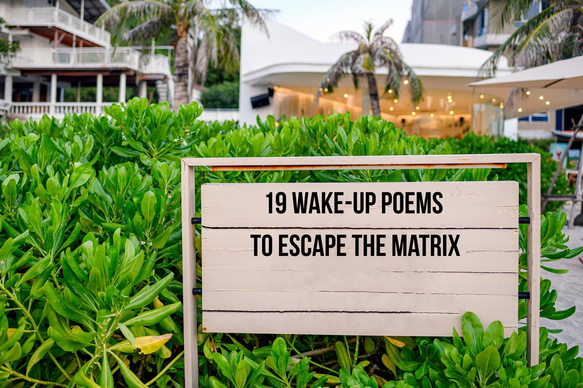 19 Poems to escape the matrix