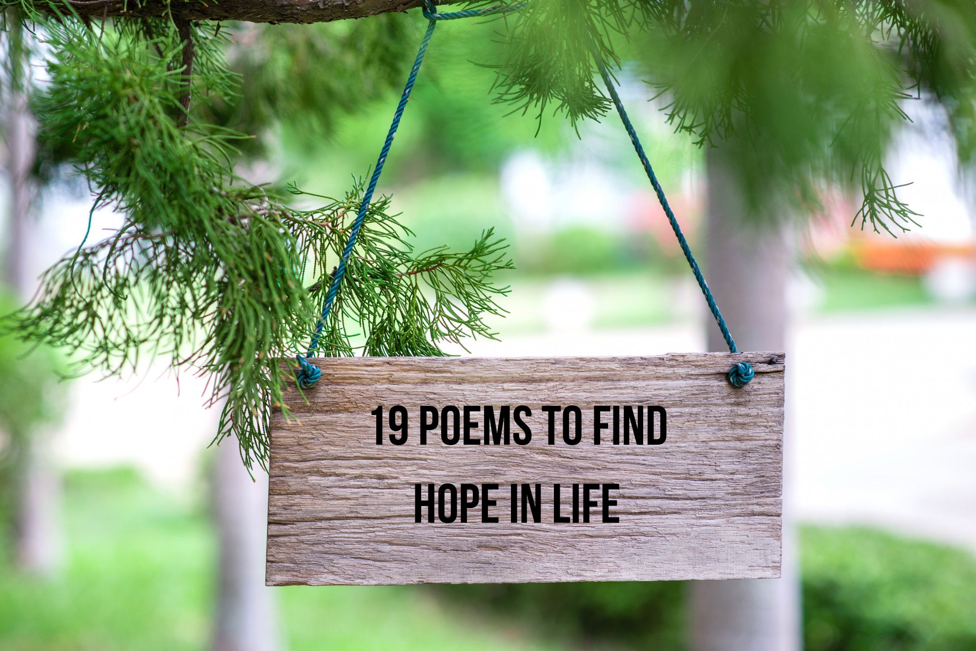 19 Poems to find hope in life