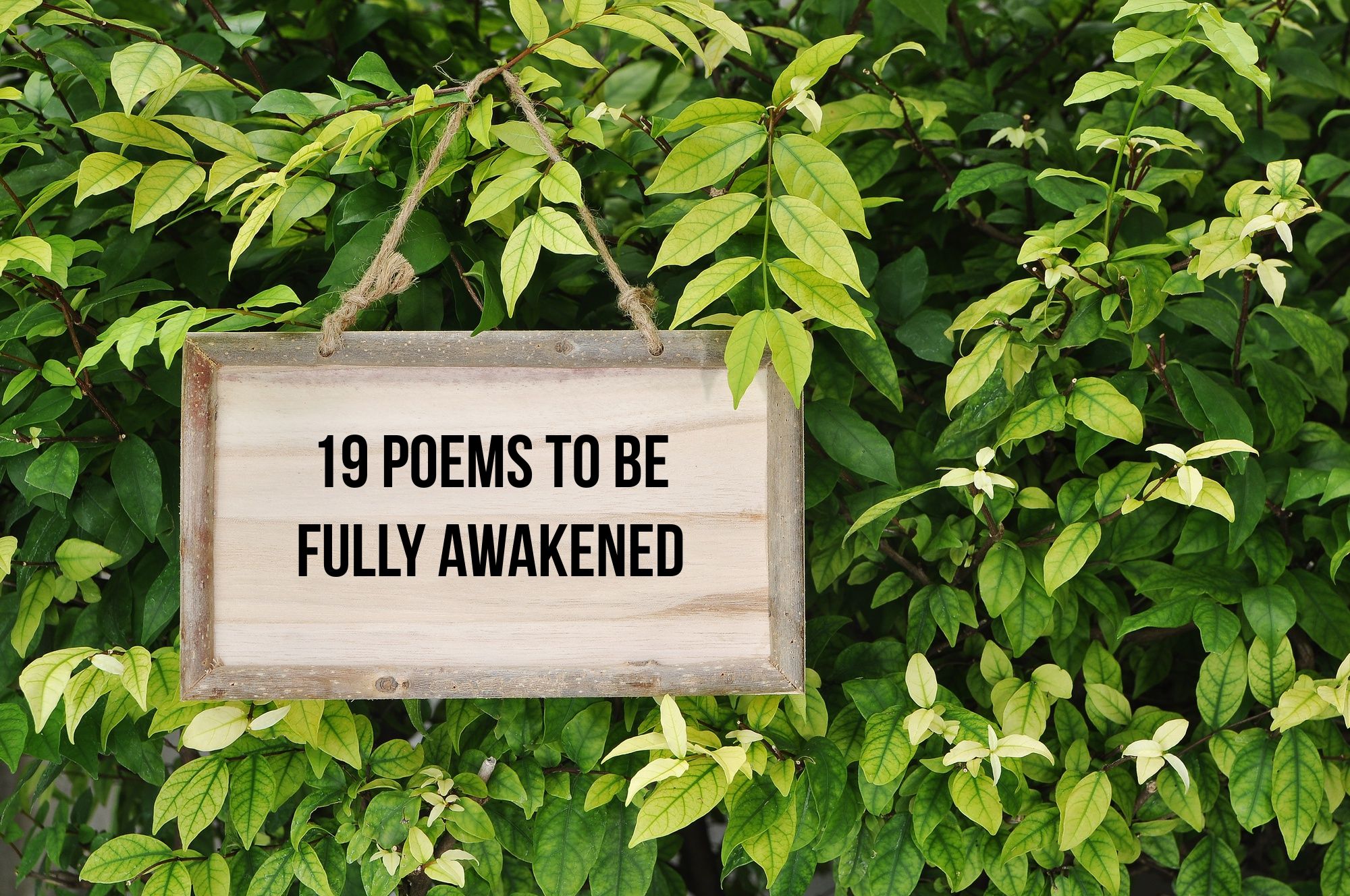 19 Poetic Prayers to call god