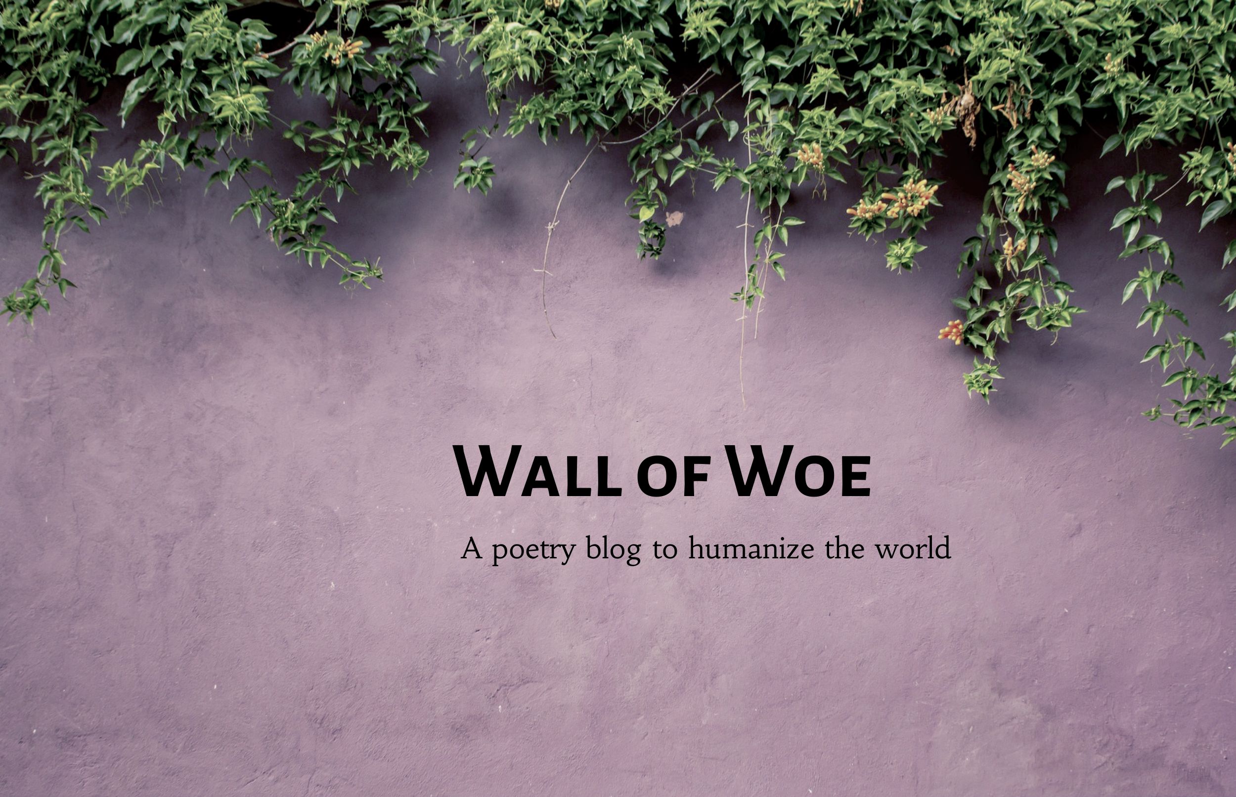 Wall of Woe