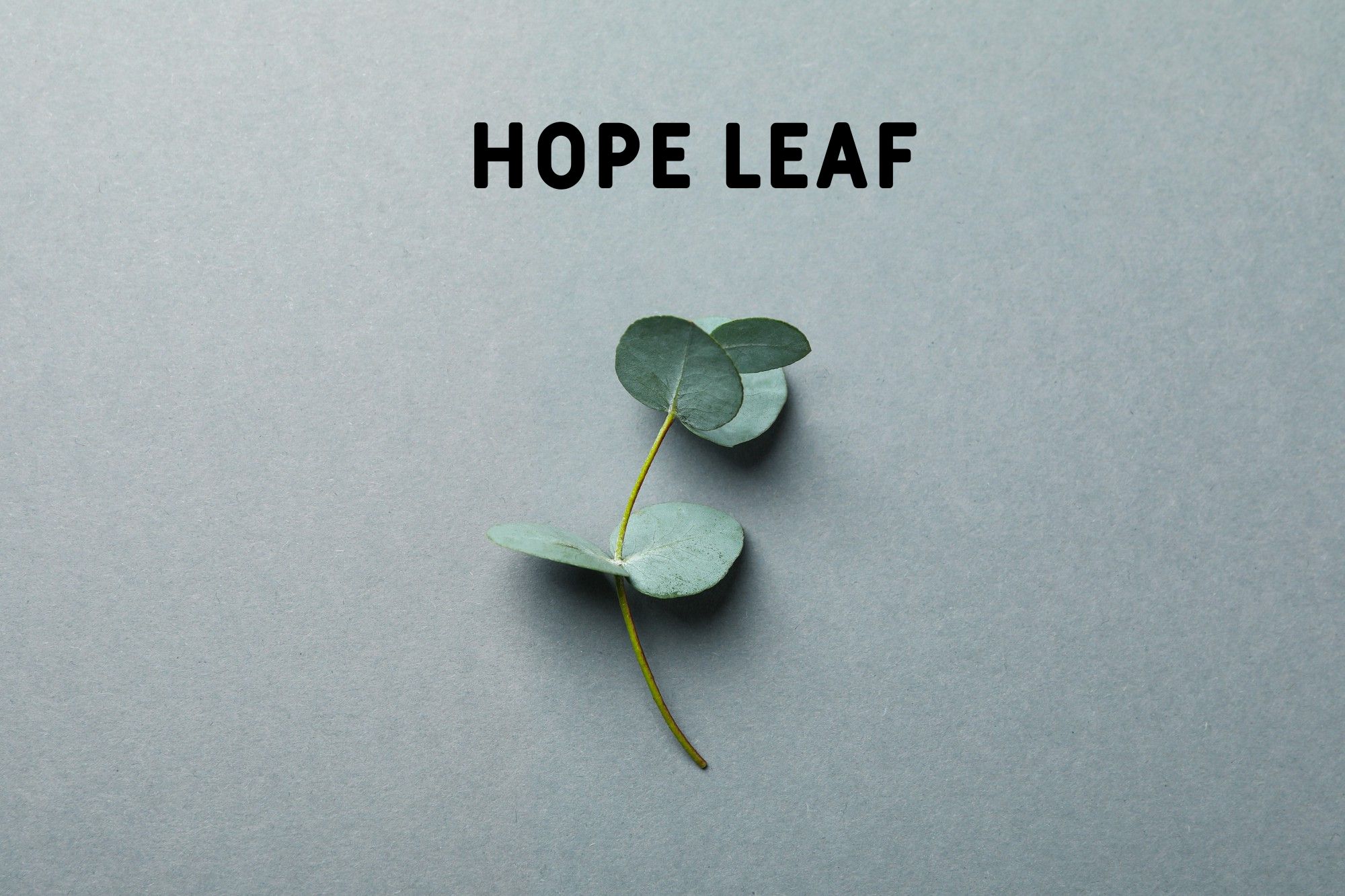 Hope leaf