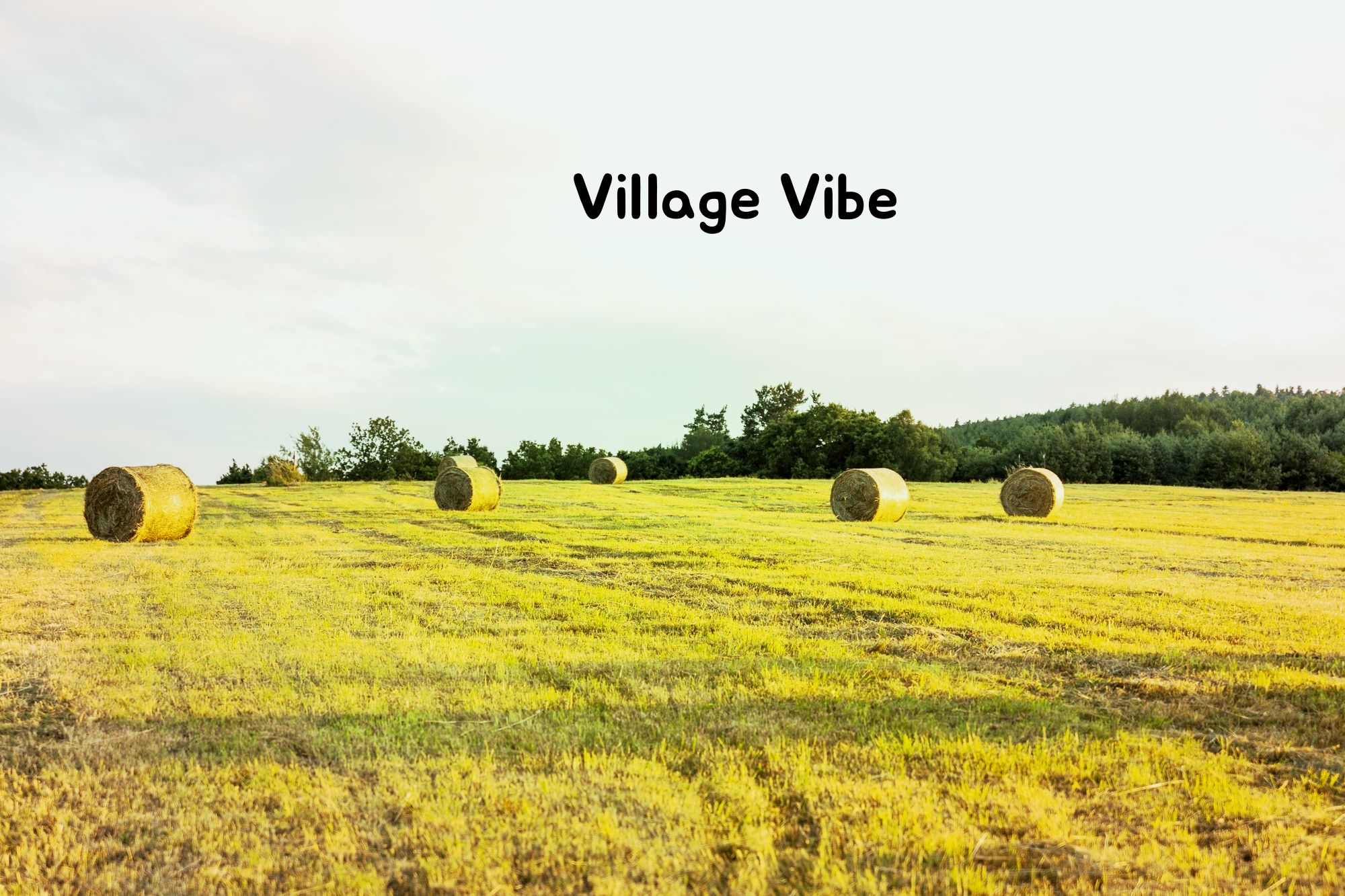 Village Vibe, philosophy aprk