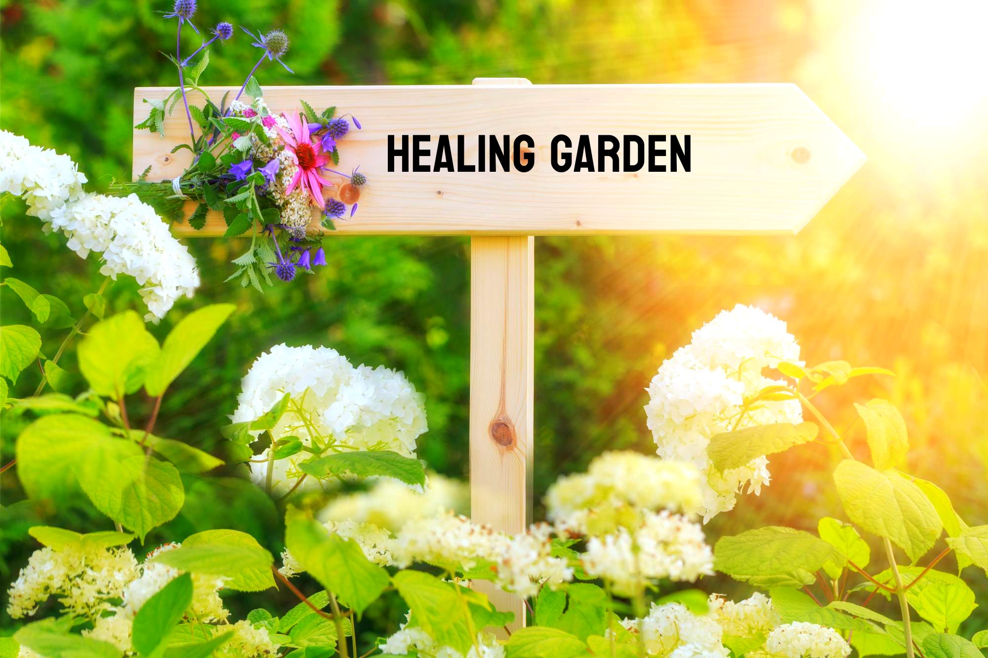 Healing Garden-philosophy park